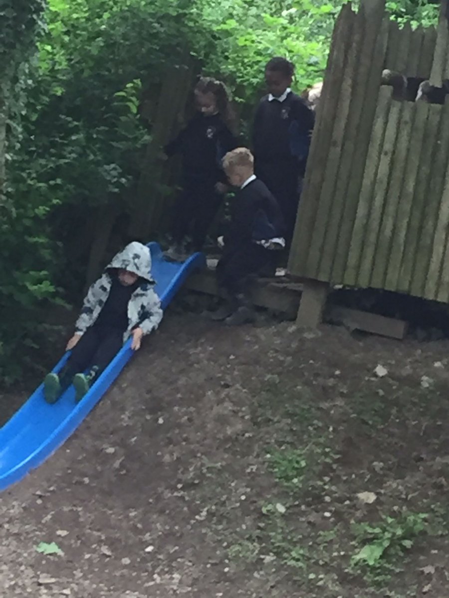 Some photos of our Junior Infants today on their school tour.
They were in Croom at Joe's farm. Always a hit with our kids 💙🤍