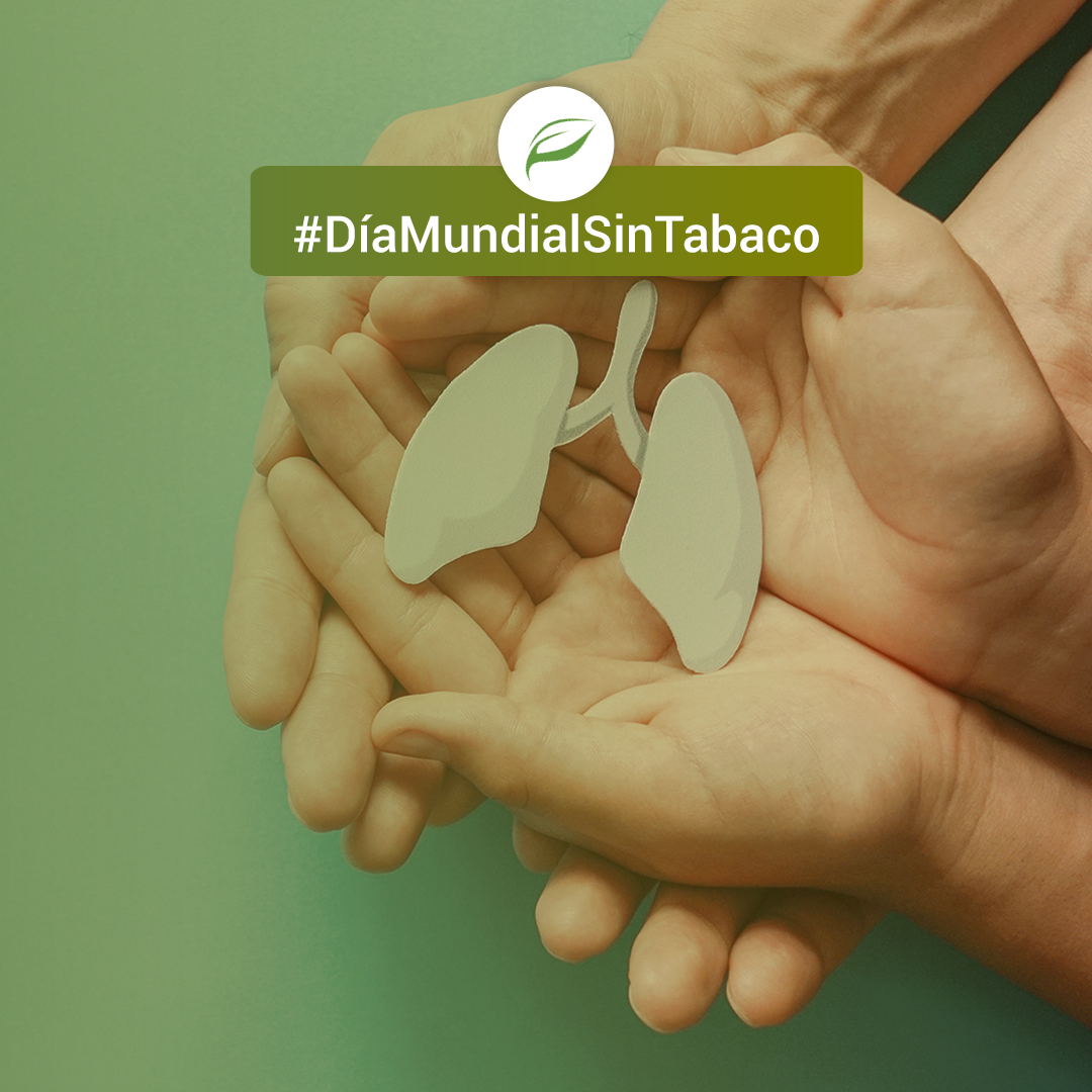 EdenSoftware's tweet photo. Hoy se celebra el #DíaMundialSinTabaco 🚭 #NoFumes #CuidaTuSalud https://t.co/Zguv1nvv36