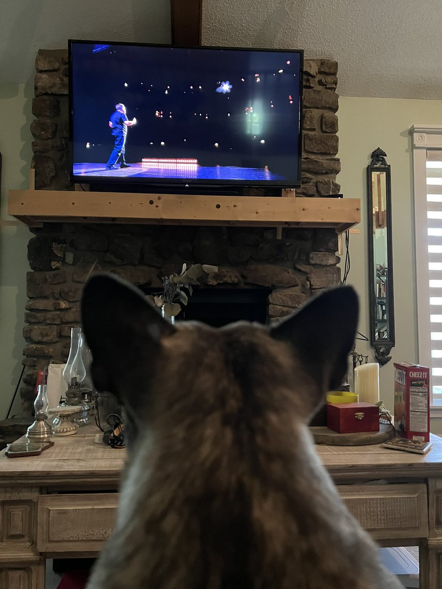 Jtown1141's tweet photo. Pickles demanded we watch @rickygervais  #SuperNature on @netflix . She identifies as funny woman.  😂 https://t.co/Bs1yVvWSnM
