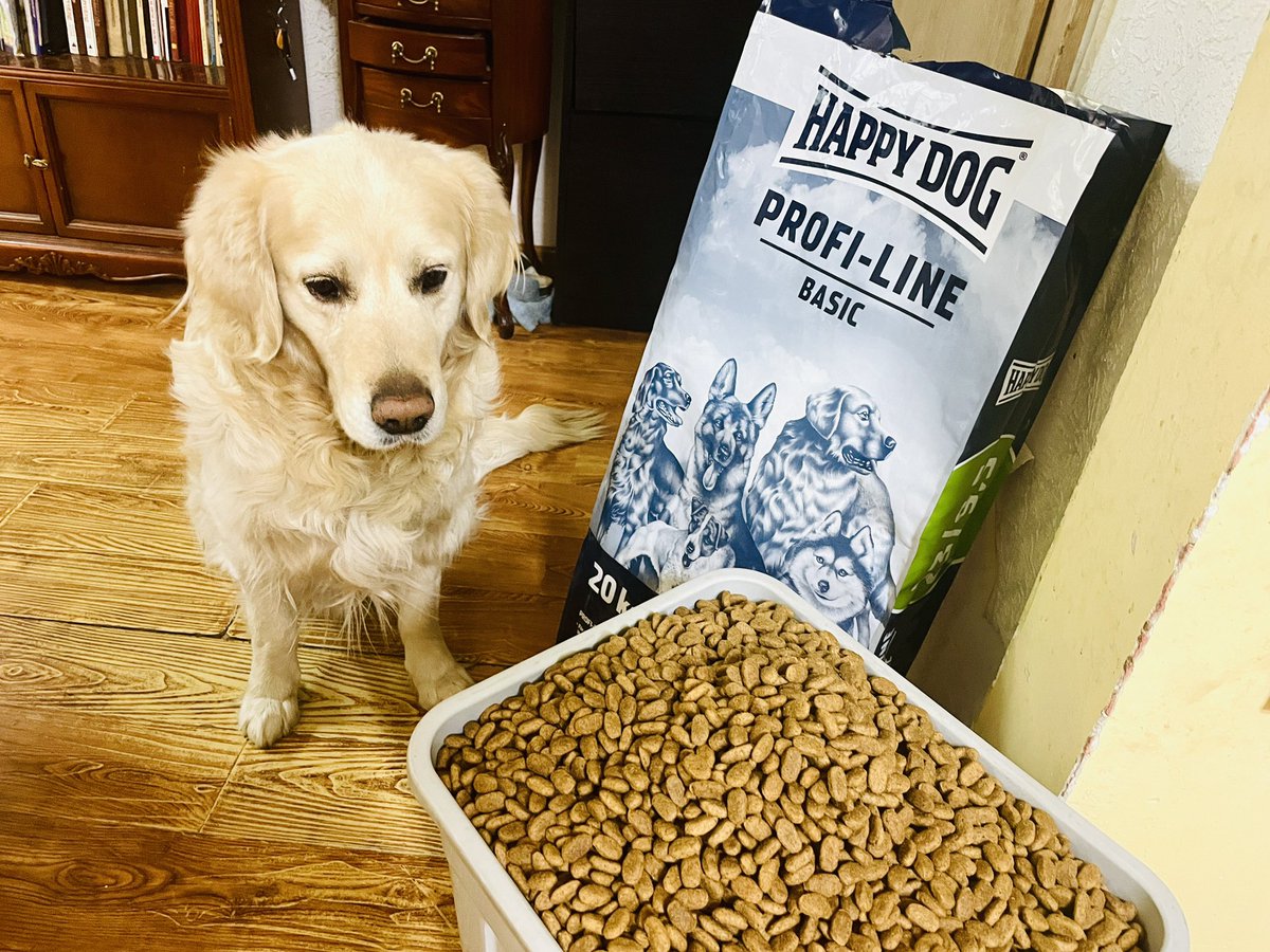 OidovVaanchig's tweet photo. Эзэн минээ энэ их хоолыг яаж барнаа 😋
Torgoljin Mongolia #happydog #Profiline https://t.co/8BHBi4MR4Y