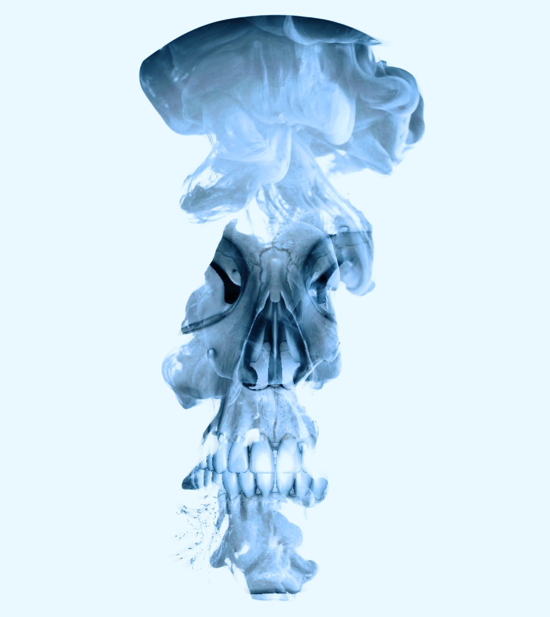 “Multiverse Skull III” now listed via @signArtApp 

1/1 available 

🔗 sign-art.tiny.us/5n6m4mt6

#NFTdrops #NFTGiveaways #NFTartists #WAVES $SIGN #skull #art #artist #NFTMint #NFTartwork