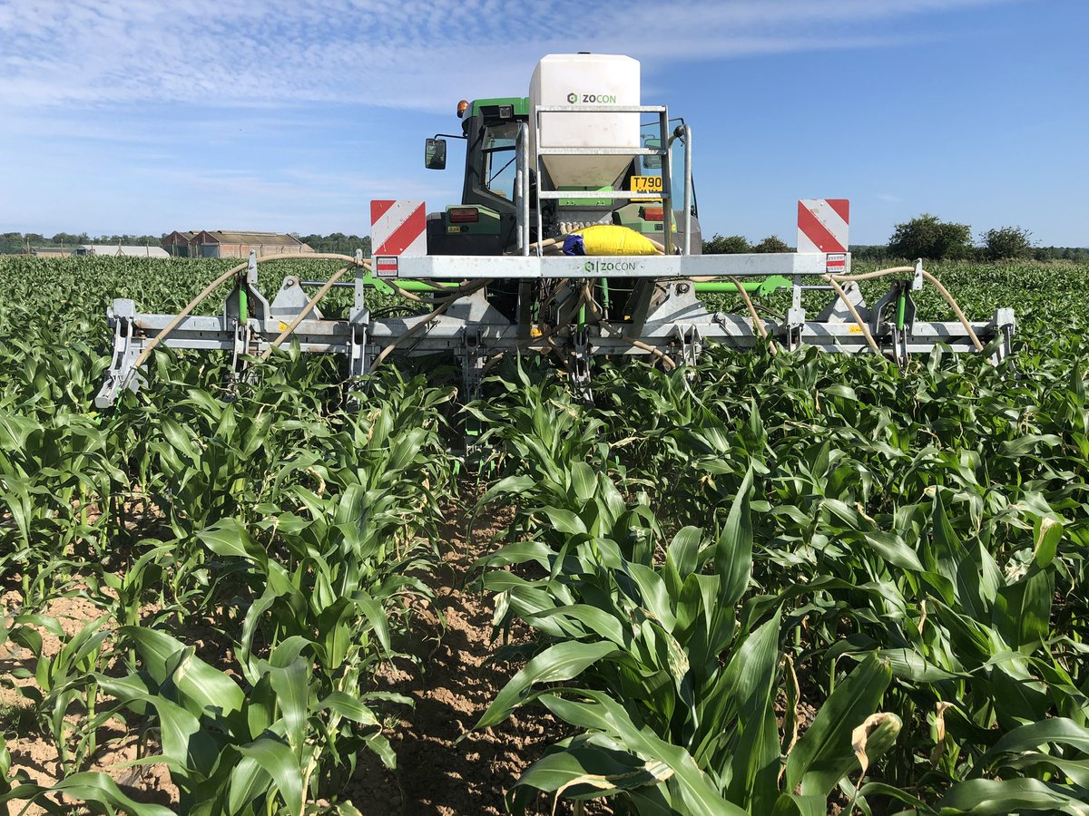 proecontracting's tweet photo. It’s nearly time to sow your grass into standing maize crops 50cm &amp; 75cm . Get your autumn grass sown know &amp; save autumn establishment costs ! Reduce soil run off as well as the leaching of nitrates &amp; active ingredient. Call or message your local dealer . #zocon #thegreenseeder https://t.co/O9rXlMr67Q