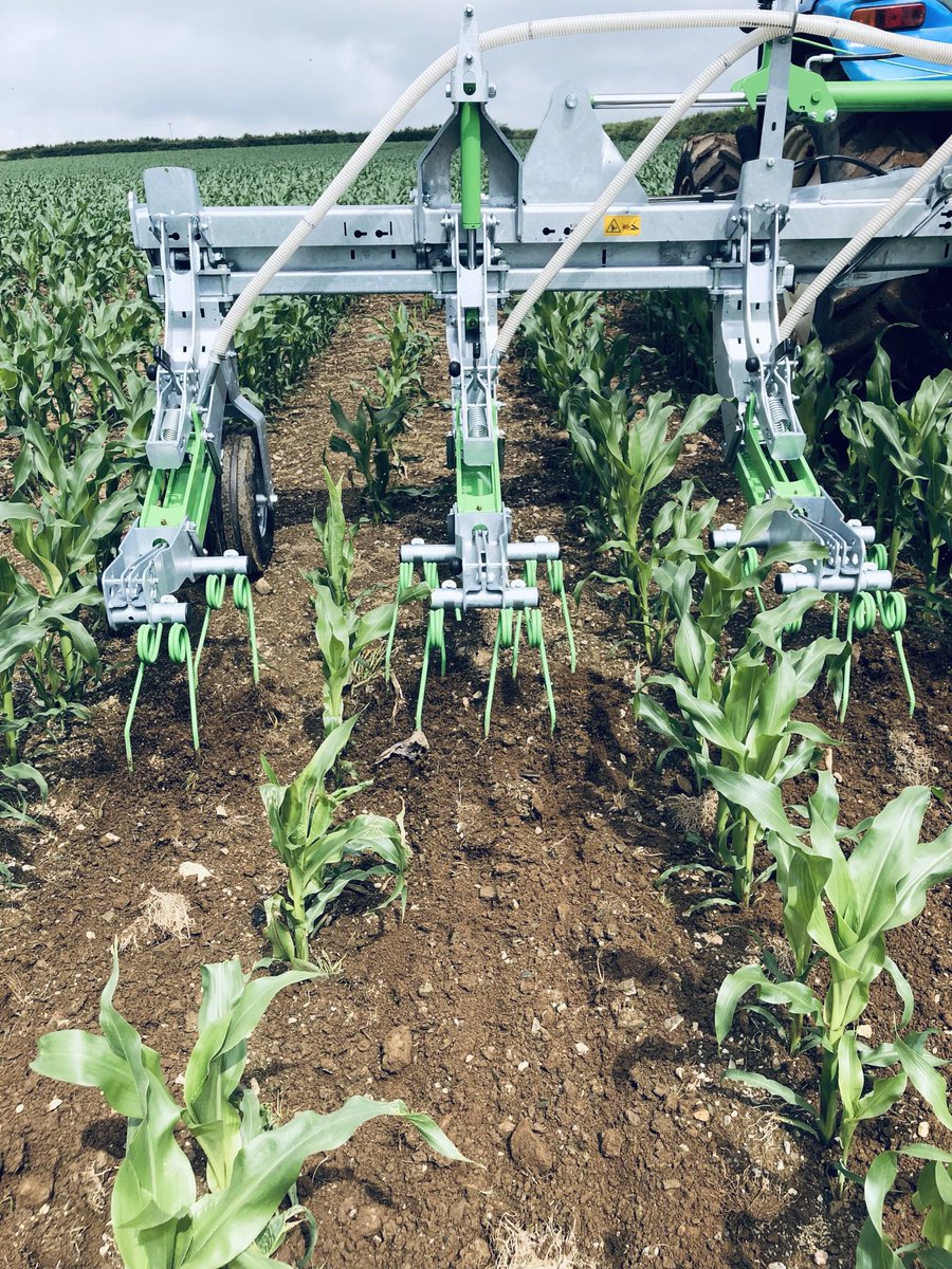 proecontracting's tweet photo. It’s nearly time to sow your grass into standing maize crops 50cm &amp; 75cm . Get your autumn grass sown know &amp; save autumn establishment costs ! Reduce soil run off as well as the leaching of nitrates &amp; active ingredient. Call or message your local dealer . #zocon #thegreenseeder https://t.co/O9rXlMr67Q