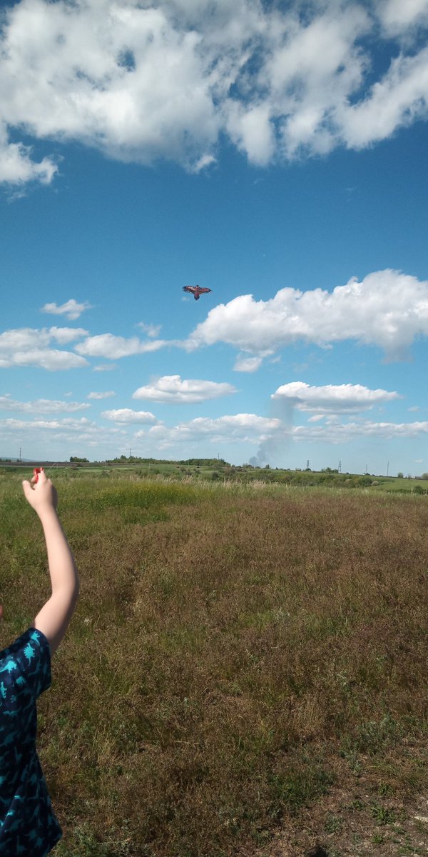 Рябов Владимир tweet media