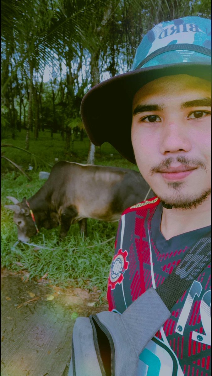MooRawinan's tweet photo. เป็นได้แค่ เด็กเลี้ยงวัว 🐂🍃 https://t.co/FJYp9jl8Nv