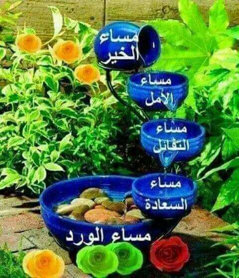 WdhYwt's tweet photo. @dfgerrted346786 https://t.co/OlMRin1KNe