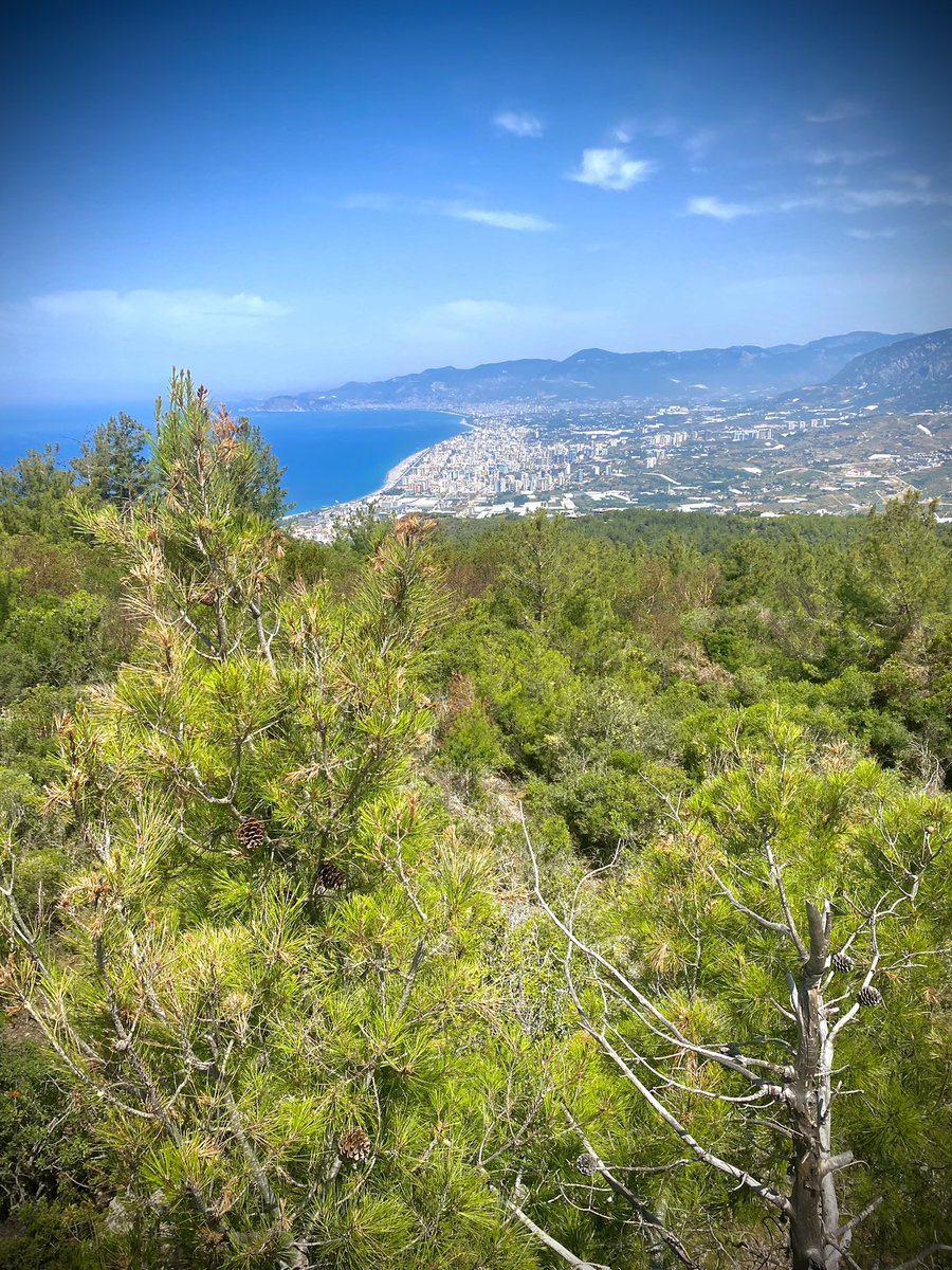 alisuccu's tweet photo. Alanya - Syedra Antik Kenti https://t.co/L0h2HM3HOk