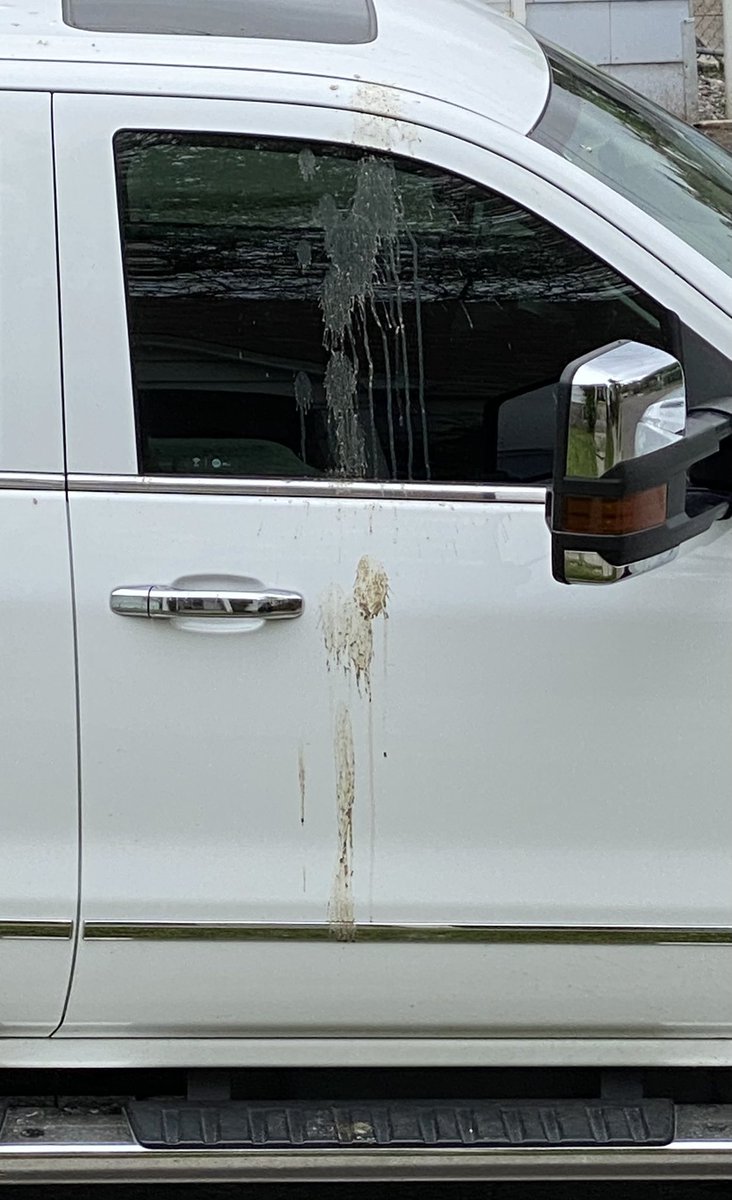 Rod_Ross's tweet image. Okay Big Bird, I give up, you win.