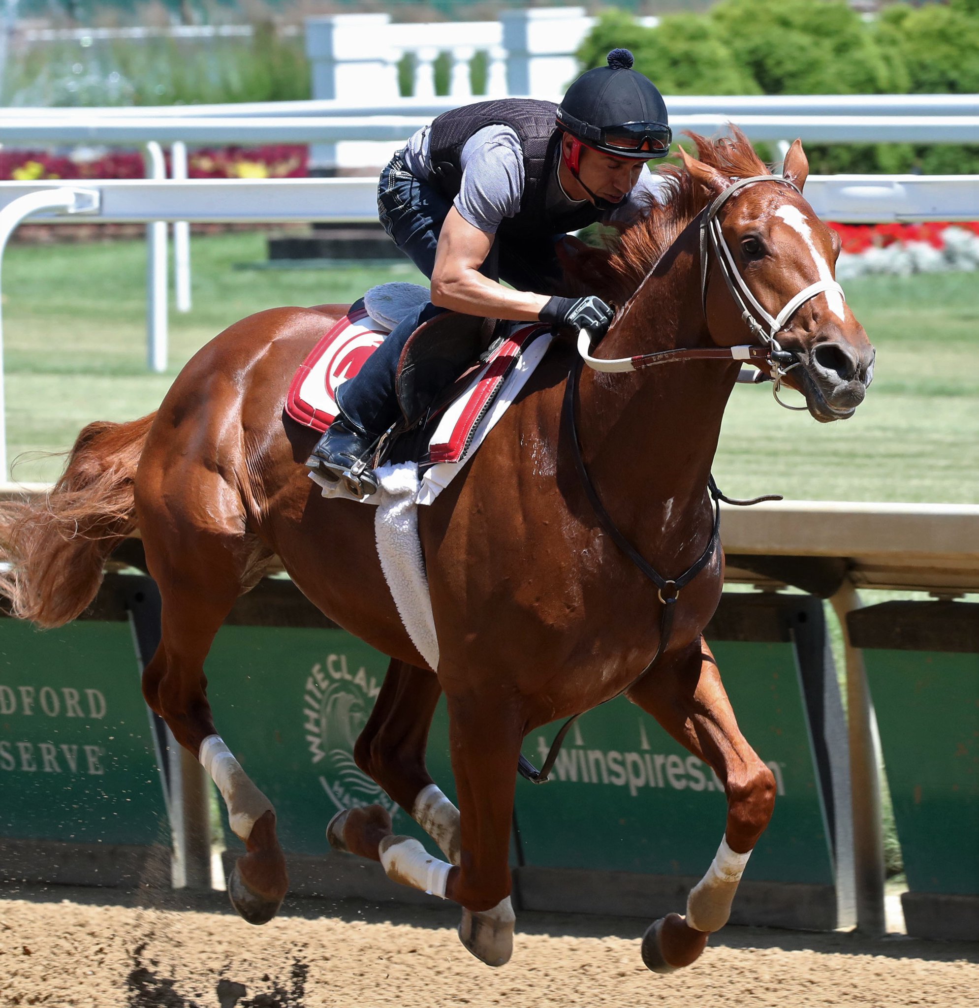 Kentucky Derby on Twitter "RICH STRIKE breezed 5 furlongs in 59 in