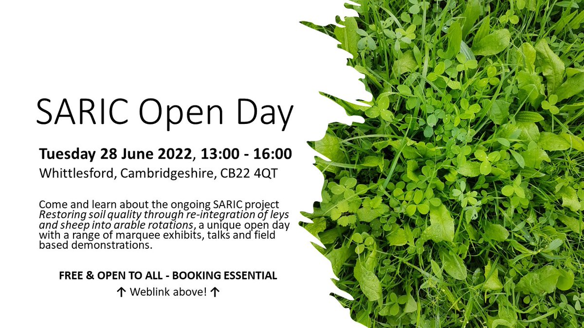 EmilyCooledge's tweet photo. 📢Join us for our #SARIC project open day at @NIAB Duxford on the 28th June! Hear about our research so far on leys in #arable rotations, soil health, GHGs, and #livestock productivity.🐑

Book your free space here: 
https://t.co/tDT9PaCcw3 

☘️#OpenDays #research #soilscience🌱 https://t.co/FGqCW1hJEn
