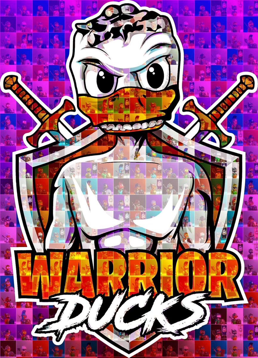 Warrior Ducks tweet media