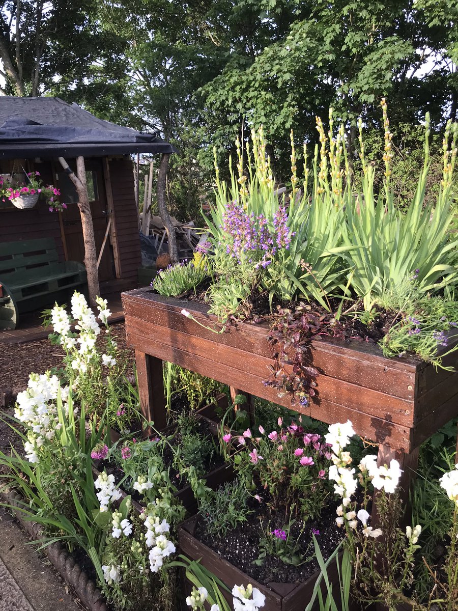 AitkinHazel's tweet photo. Lots of weeding and planting today at the @ArchesLocal community allotment by a  #communitypayback Team from @KSSPS_CP  #Chatham 💪😊. The wildlife garden, in particular, is looking spectacular! 😊 #probationworks #givingback https://t.co/ys8XL4Ao0F
