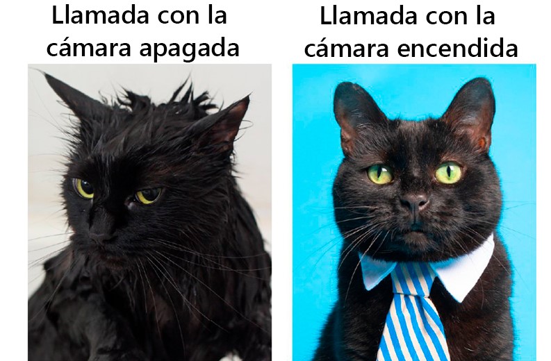 windows_latam tweet picture