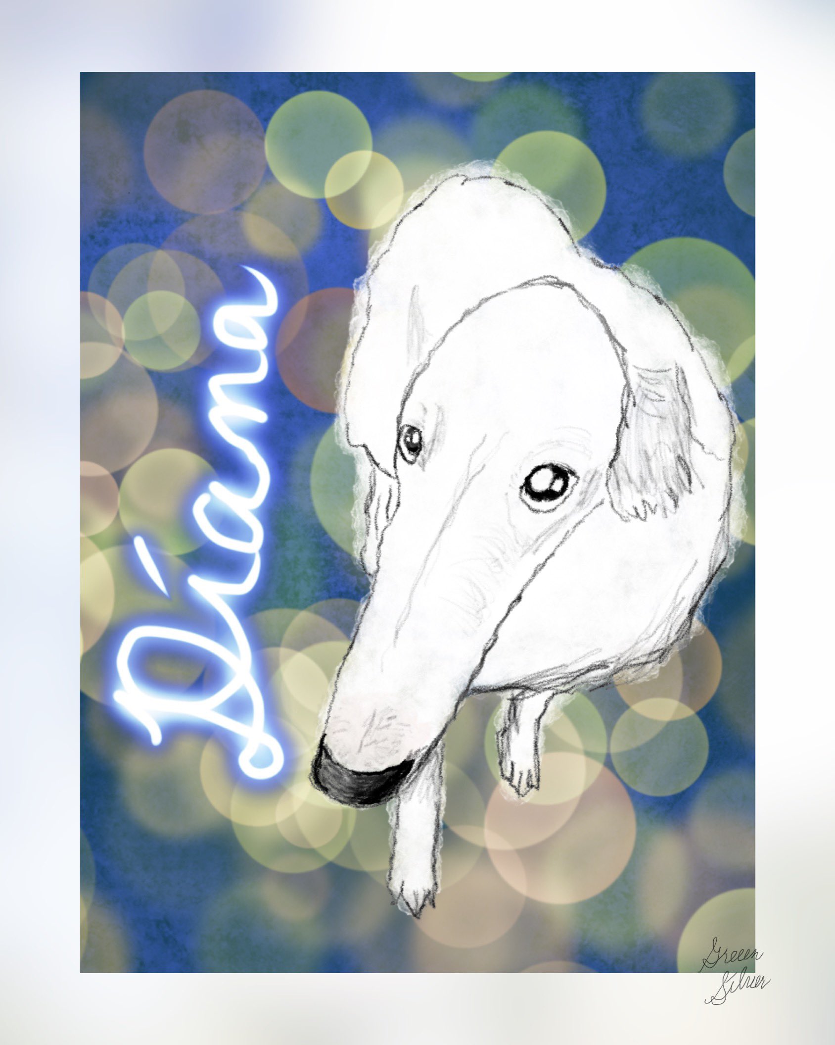 טוויטר ボルゾイ החיפוש של טוויטר