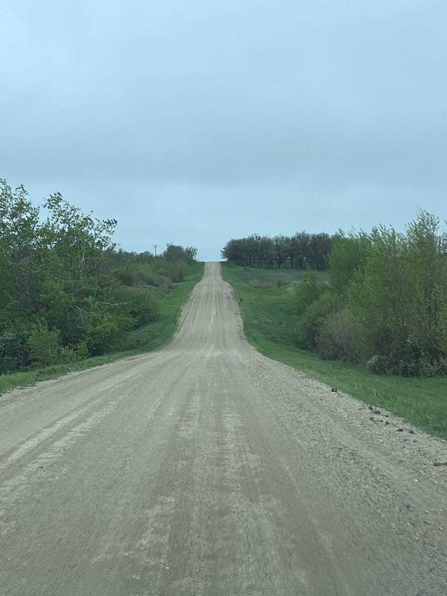 cslydes's tweet photo. Back home with flowers for the family. #TurtleMountains #GravelRoads #CreekBeds https://t.co/UJvAmqH4Tf