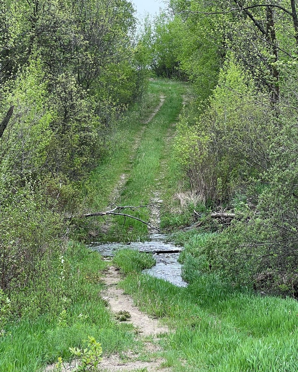 cslydes's tweet photo. Back home with flowers for the family. #TurtleMountains #GravelRoads #CreekBeds https://t.co/UJvAmqH4Tf