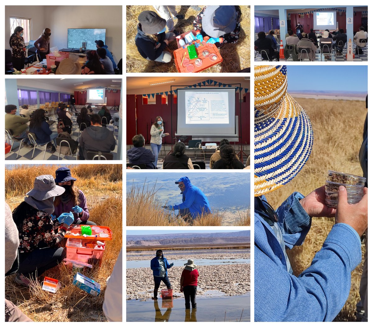 Raquel Rodriguez (@raquel_rodmar) on Twitter photo Jornadas de capacitación en Tapetes Microbianos junto con <a href="/PabloM_AguilarE/">Pablo Aguilar</a> y Drina Vejar. Gracias a Inger Heine (Unidad de Medio Ambiente) por la invitación y al <a href="/CP_Atacamenos/">Consejo de Pueblos Atacameños</a> por su participación y motivación. Jornadas de capacitación en Tapetes Microbianos junto con <a href="/PabloM_AguilarE/">Pablo Aguilar</a> y Drina Vejar. Gracias a Inger Heine (Unidad de Medio Ambiente) por la invitación y al <a href="/CP_Atacamenos/">Consejo de Pueblos Atacameños</a> por su participación y motivación.