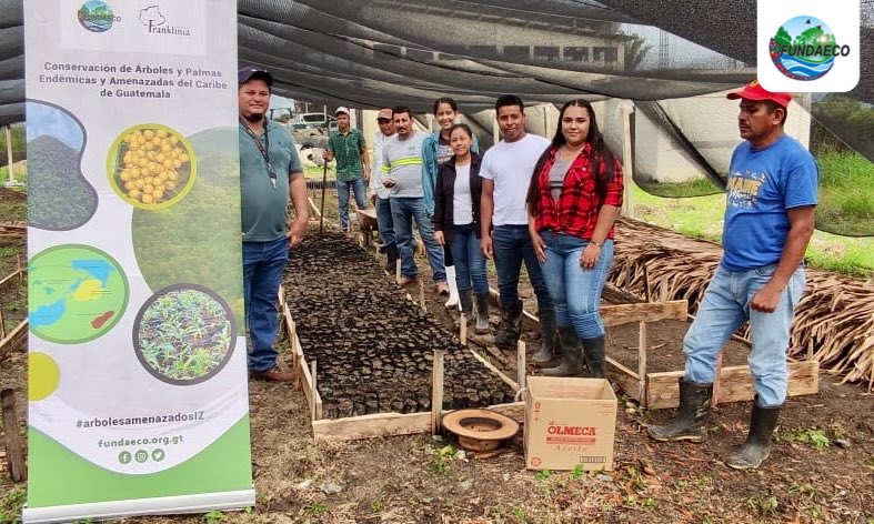 fundaecoguate's tweet photo. 🌳🌱🤲 Para recuperar #EspeciesdeÁrbolesAmenazados realizamos la siembra de semillas de #caoba y #rosul en Vivero Forestal Municipal Santa Bárbara con el apoyo de la #MunicipalidaddeMorales, #guardarecursos, @CONAPgt y estudiantes de @U_Landivar. #arbolesamenazadosIZ #Franklinia https://t.co/NfaeKVZLmQ