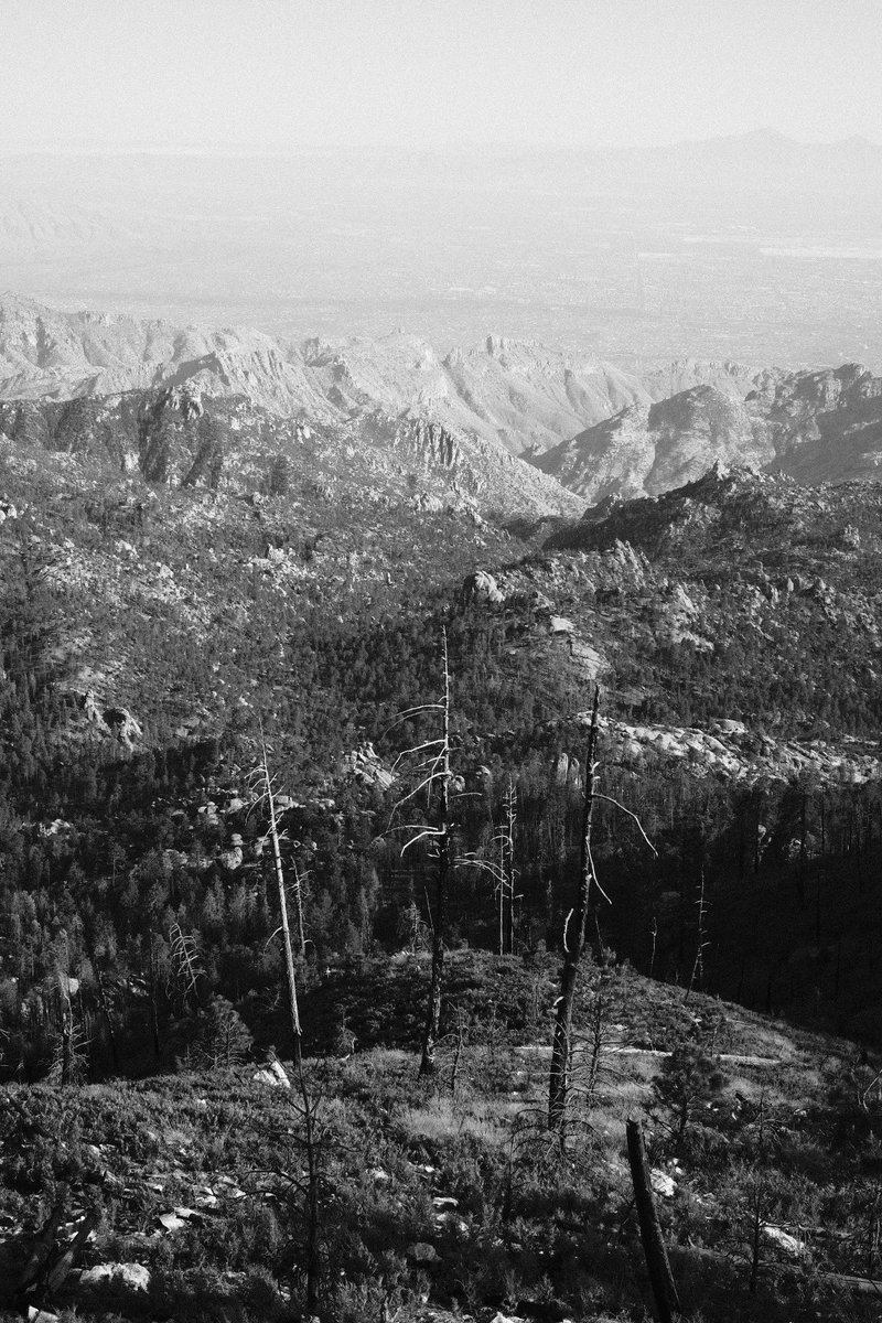 a_kehmeier's tweet photo. B&amp;W from Mount Lemmon https://t.co/9pMZgFGGqV