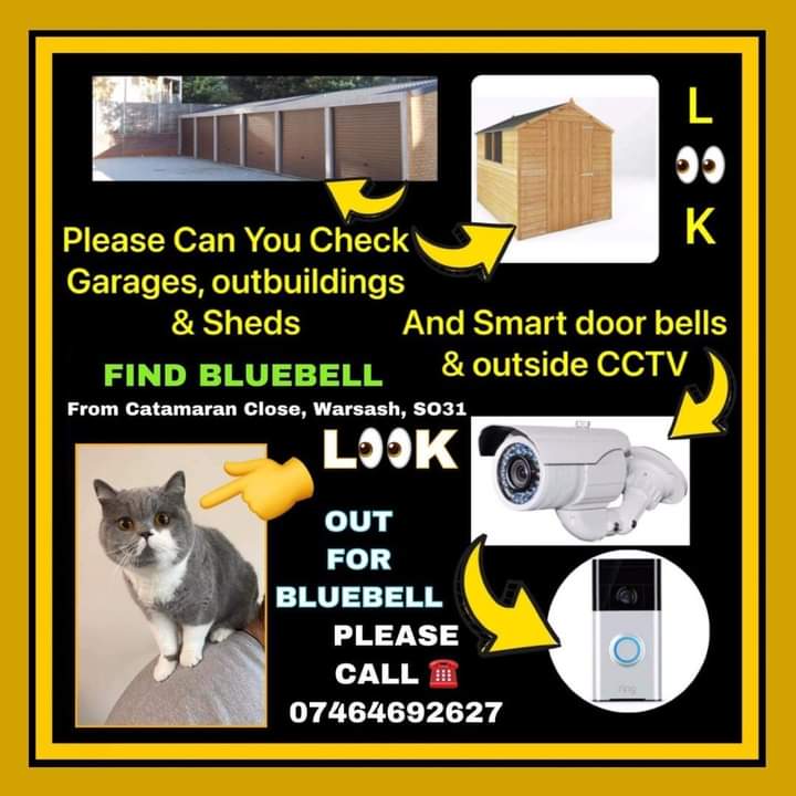 JohnDaffern2's tweet photo. Please Share and help find Bluebell 💙
Missing since 22/05/22, in Warsash. 
Neutered and Microchipped.

Bluebell’s group link 👇
https://t.co/aH1BuEmZch

Doglost link👇
https://t.co/P15HZgKWst https://t.co/QSJL2gPktf