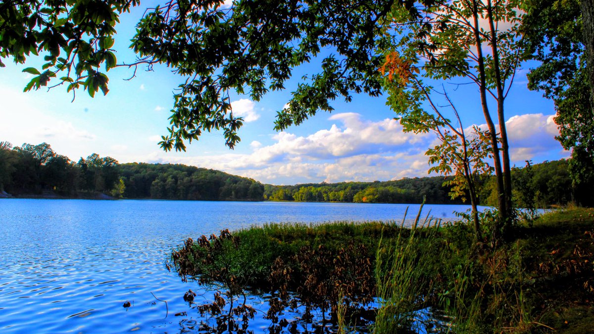 MissyElardi8016's tweet photo. #elardiphotography #nature #murphylake #southernillinois #NaturalBeauty #photography #beauty https://t.co/GPkHwy5bQn