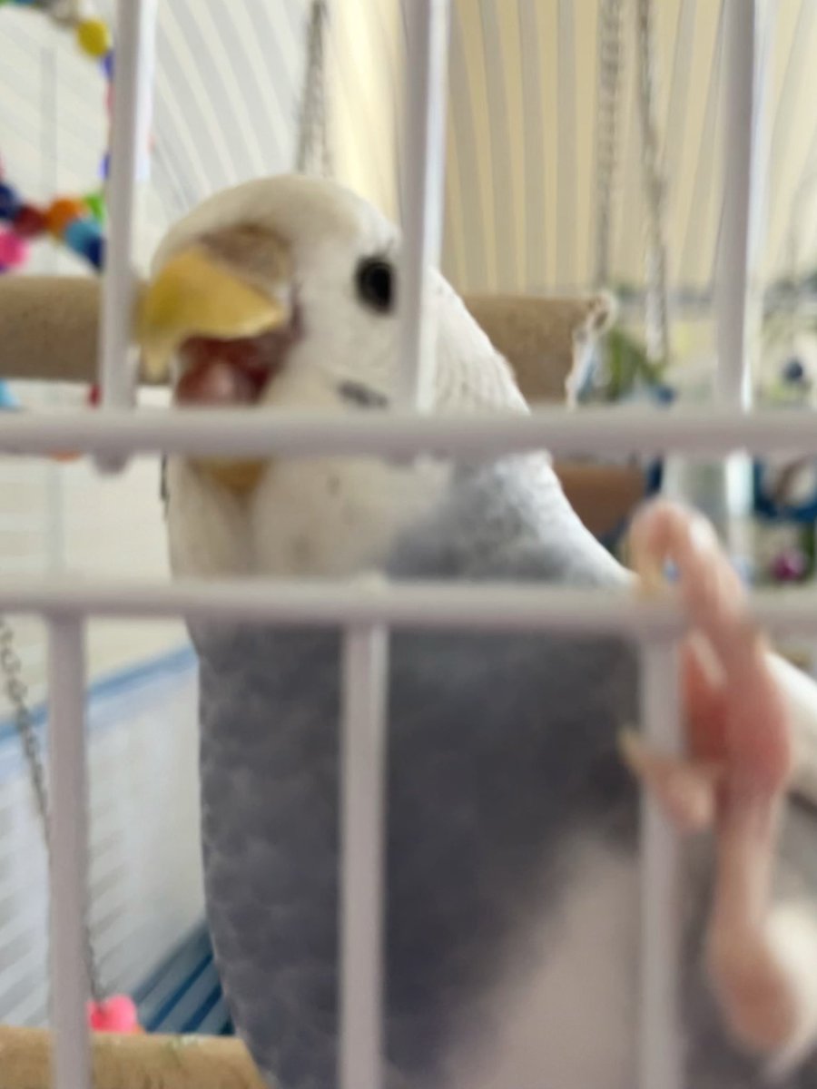 Hatırasından dolayı hesabı kapatmazken bir yandan da kullanmayı bırakıyorum. İyi insanlarla karşılaşmanız dileğiyle, ve son kez cak cak cak