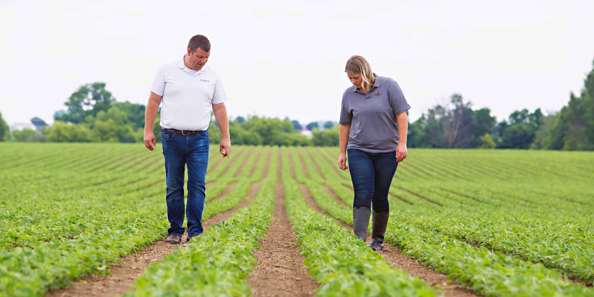 Brevant seeds Canada tweet media