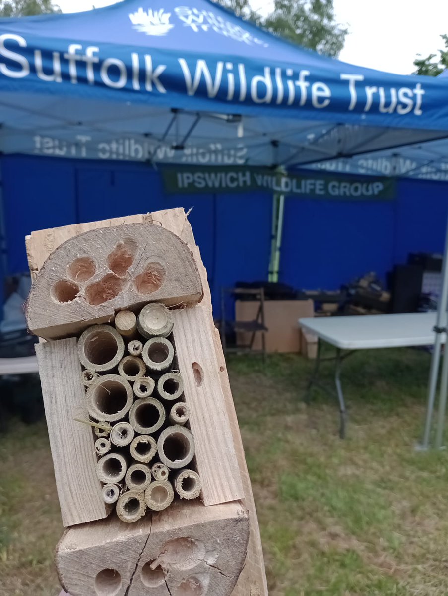 GreenwaysProj's tweet image. All set for making bug homes at the Suffolk Show! Delighted to be working with @suffolkwildlife again in their wonderful Wildlife Area. Do pop in and see us if you're there! @IpswichGov @EastSuffolk @BaberghDistrict @WildIpswich #wildlifehomes #bugbox #insecthome