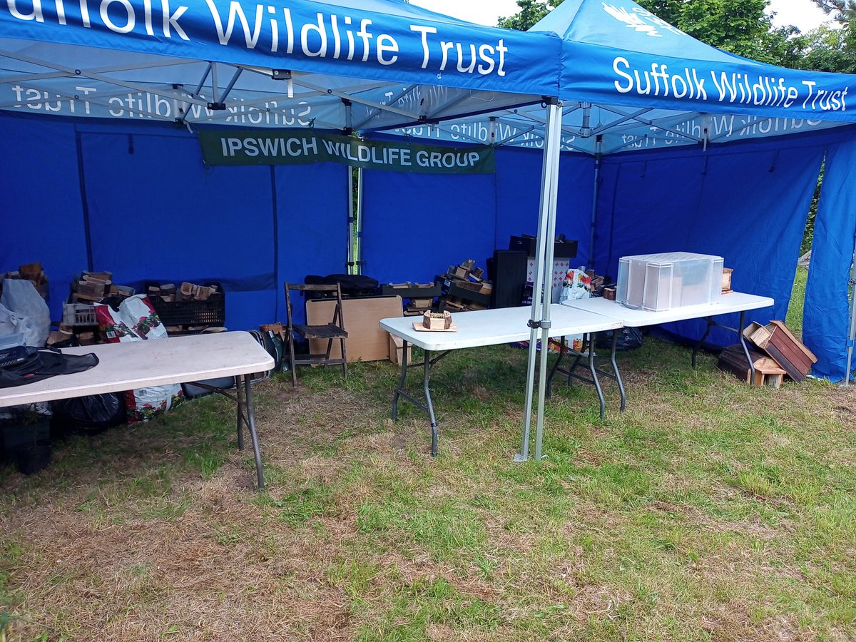 GreenwaysProj's tweet image. All set for making bug homes at the Suffolk Show! Delighted to be working with @suffolkwildlife again in their wonderful Wildlife Area. Do pop in and see us if you're there! @IpswichGov @EastSuffolk @BaberghDistrict @WildIpswich #wildlifehomes #bugbox #insecthome