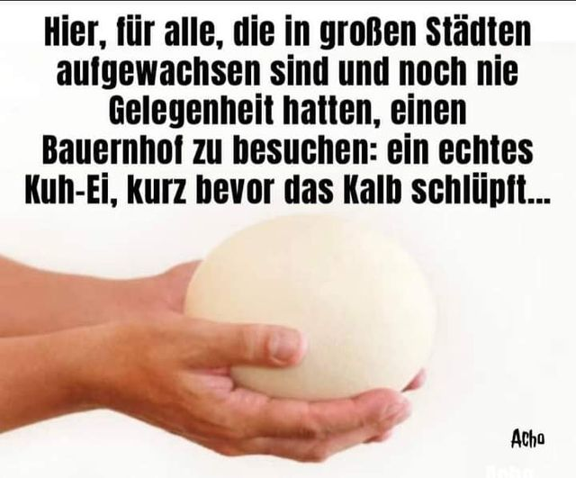 KlingenGerd's tweet photo. https://t.co/GdkJpbW6NG