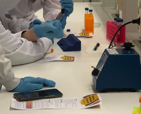 PhotoMicrobes's tweet photo. This month, 45 students from @Turun_Norssi visited our lab to discover the beauty of #microalgae and #photosynthesis. They had fun creating #algae-balls and running chromatography. It's important to show young students that #science is a lot of fun!🥼🧪
@UniTurku #STEMeducation https://t.co/mRWLdMEGgH
