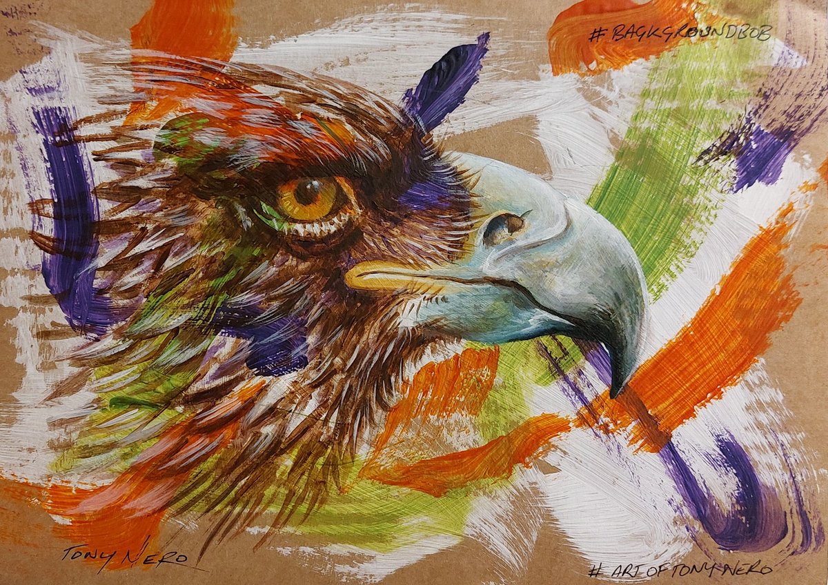 ArtofTonyNero's tweet photo. Really pleased to be doing a collab again with #backgroundbob on this one #eagle #painting #acrylic https://t.co/SRNliUQLib