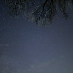 ツイートに含まれる画像