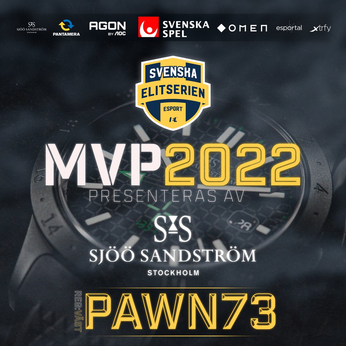 Svenska Elitserien CS2 tweet media