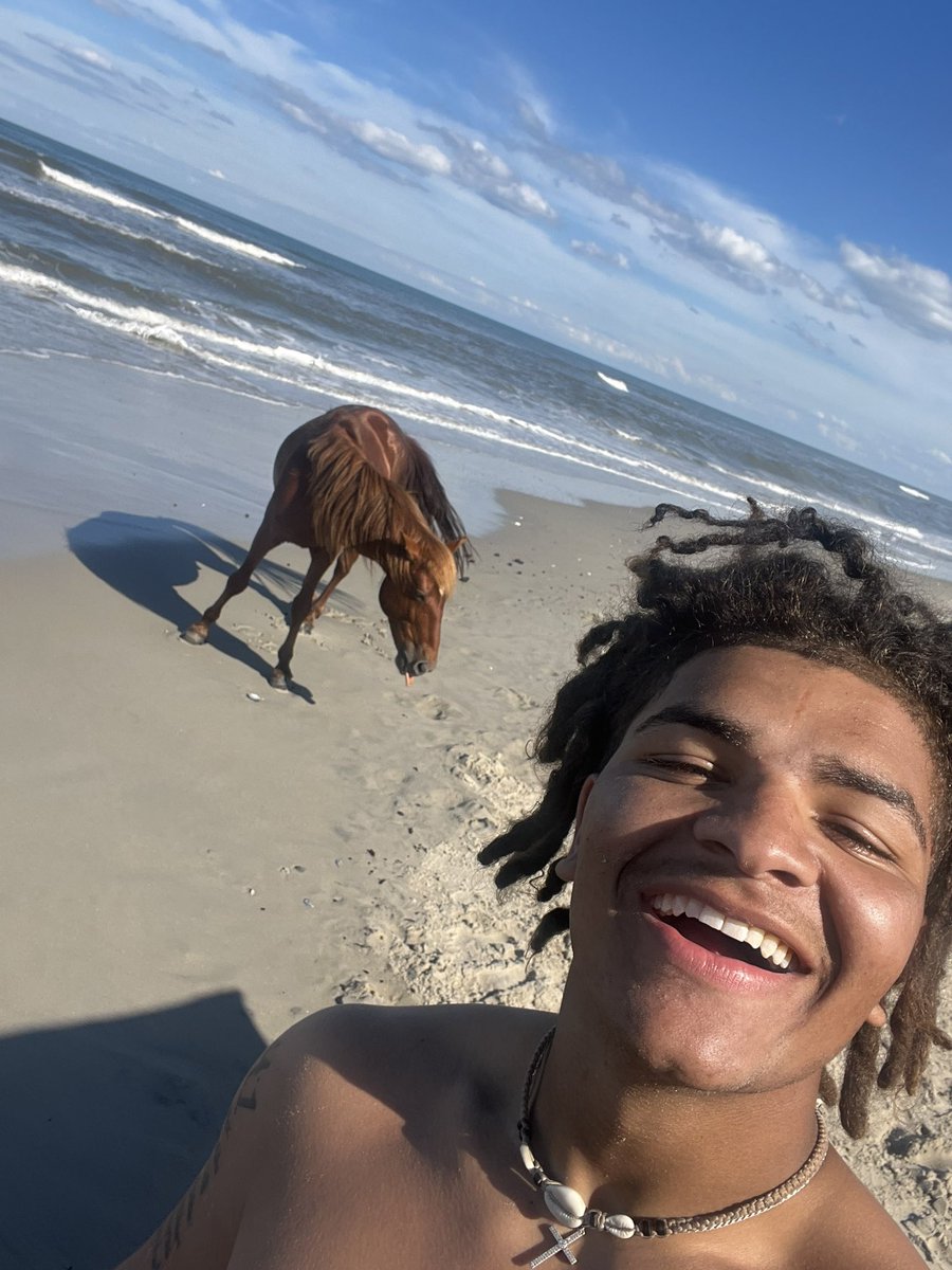 TaeveonLane's tweet photo. Wild like these horses https://t.co/zXvq0Yhxnv
