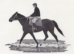 「放馬でダービー馬の栄冠を逃した馬がいる」後にエリザベス女王の所有馬となるゲイタイムは1952年の英ダービーに出走。1位入線馬が斜行しており申告すれば繰り上がり優勝できる筈だったが、ゴール後放馬し捕まった時には申告の時間が過ぎていた#競馬知らない人が噓だと思うけど本当のこと言え 
