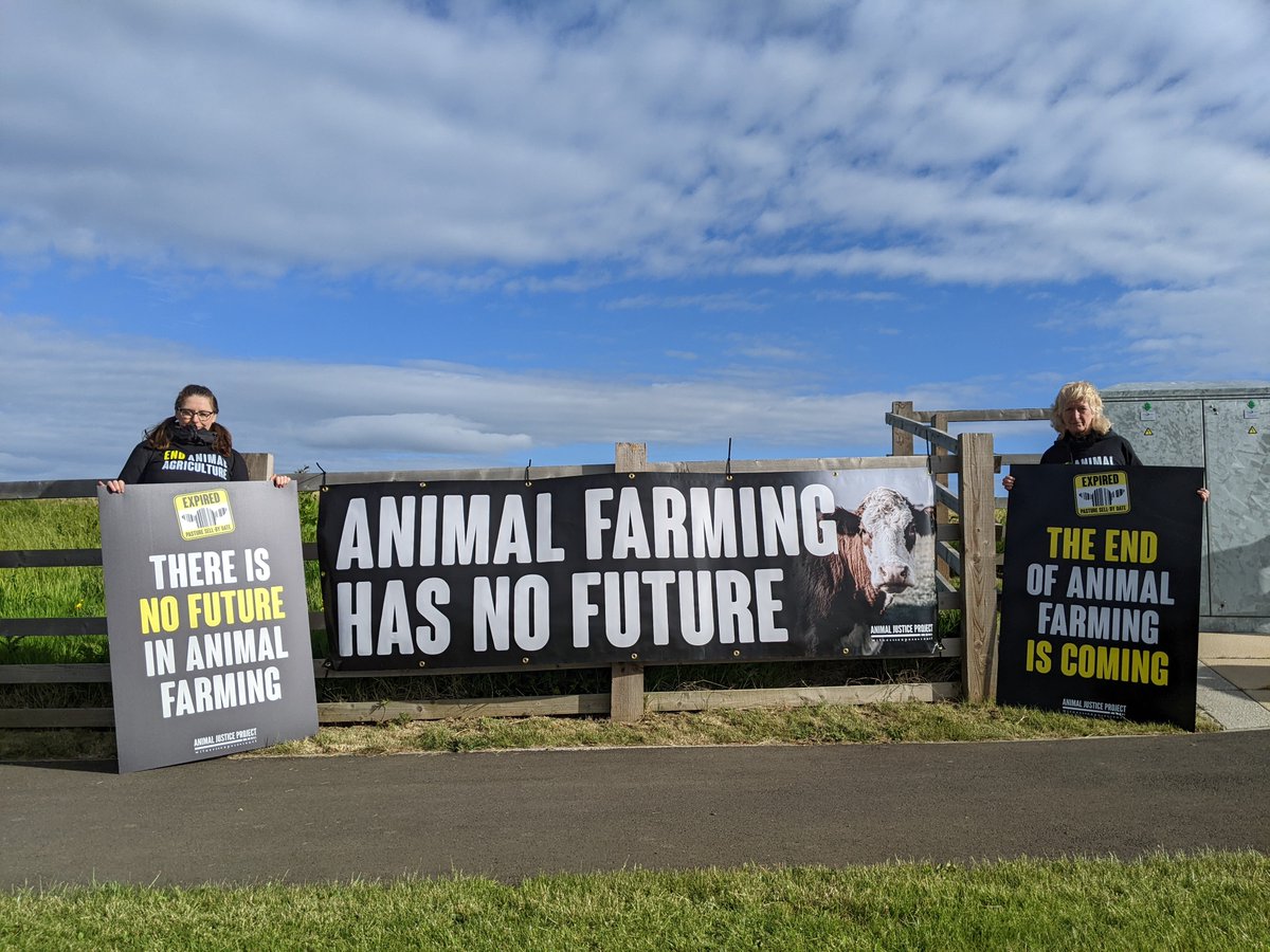 ajpReact's tweet photo. Taking a moment to say a huge THANK YOU to everyone who took part in such an incredible action at @natbeefassoc (NBA) 2022. Check out some of the amazing campaigners! 

The future is vegan.

@beefexpo @darlingtonmart

#BeefExpo22 #BeefShow #Vegan #AnimalRights #NetZero https://t.co/WCTf83jyT6