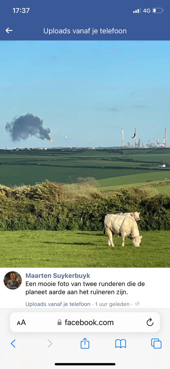 Maarten van Hal 🚜 (@maartenvhal) on Twitter photo 