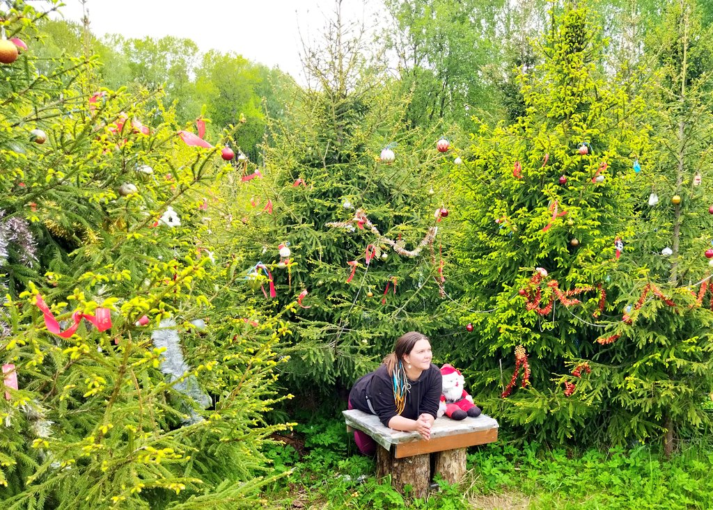 Ирина Shtil LA tweet media