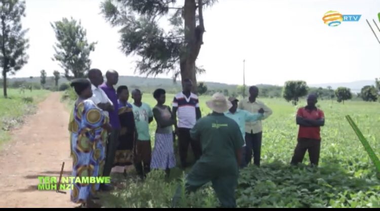 #Covamis cooperative of <a href="/KireheDistrict/">Kirehe District</a> member of <a href="/east_umuhinzico/">East Umuhinzi Company</a> was visited by #Terintambwe Muhinzi <a href="/EllyKajeje/">𝑬𝒍𝒍𝒚 𝑲𝑨𝑱𝑬𝑱𝑬🦁</a>  
Follow on this link 👉🏾 rba.co.rw/tv
<a href="/ClintonFdn/">Clinton Foundation</a>