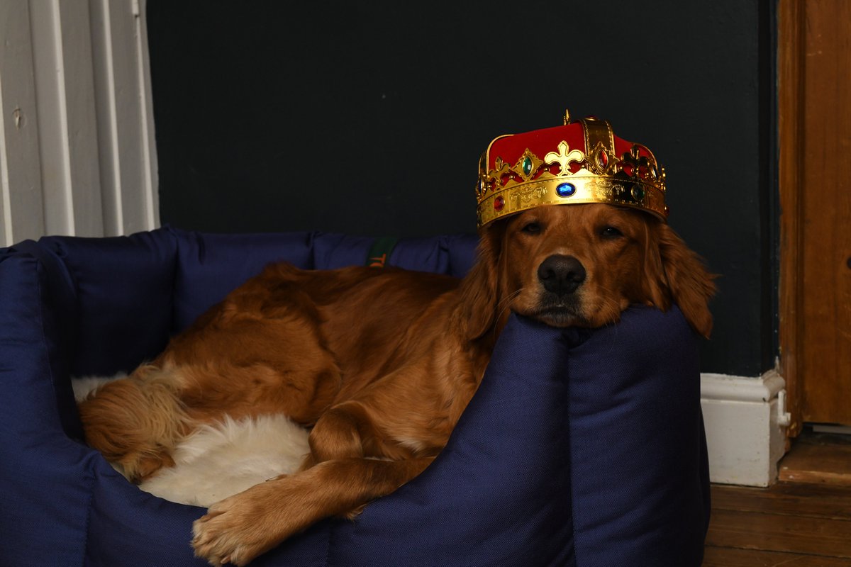 ONLY A FEW LIMITED EDITION NESTS LEFT. 

To order your limited edition Jubilee nest and have it delivered to you in time for the Jubilee, orders must be in tonight. 
tuffies.co.uk/item/728/Nest-…