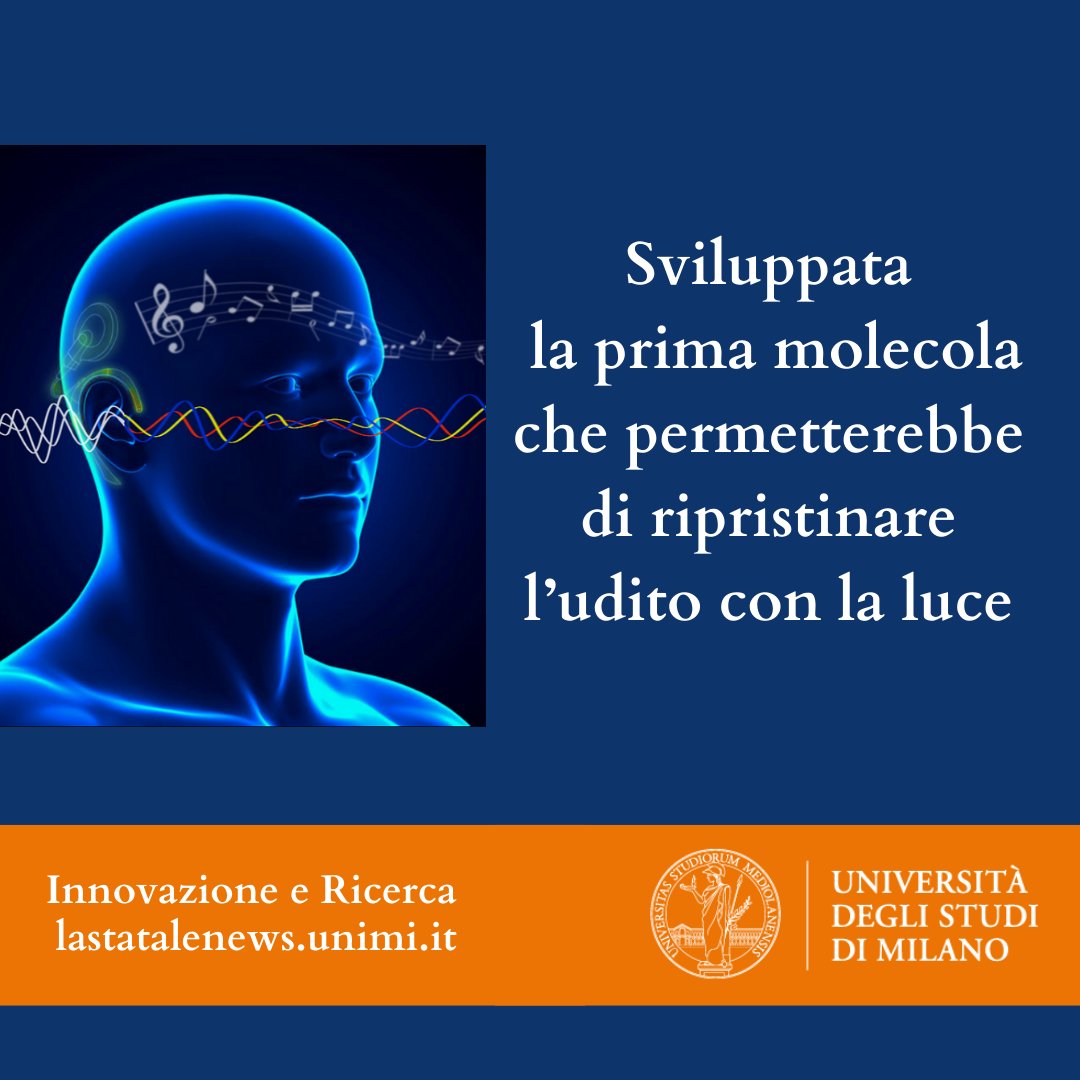 LaStatale's tweet photo. π Uno studio internazionale, con il contributo de @LaStatale, segna un passo avanti verso una nuova generazione di impianti cocleari attivabili con la luce in grado di superare i limiti degli impianti elettrici per l'udito attualmente in uso π https://t.co/w2cTMOnrXc https://t.co/FhyXFHZybO