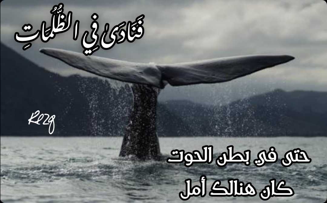 FUBFxknX0AYx8lf