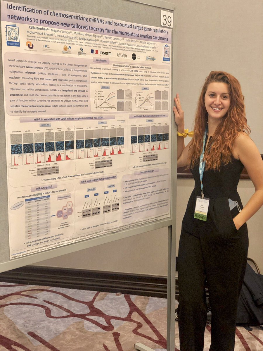 Brochen Célia tweet media