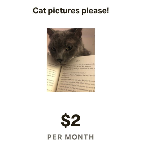 Just as a reminder, if you like cute cats (my cat, specifically) and cute queer writers (me?), I have a Patreon level that is just monthly cat pics. Proceeds fund the continued spoiling of an elderly cat with 4 teeth, bad lungs, and very soft paws. patreon.com/ninocipri