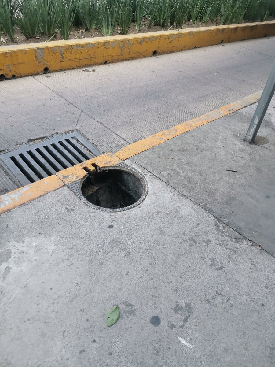 teamcaninos's tweet photo. @SacmexCDMX 2 coladeras sin tapa sobre Av patiotrismo y casi calle goya @AccionesBJ https://t.co/aonYFYoSAr