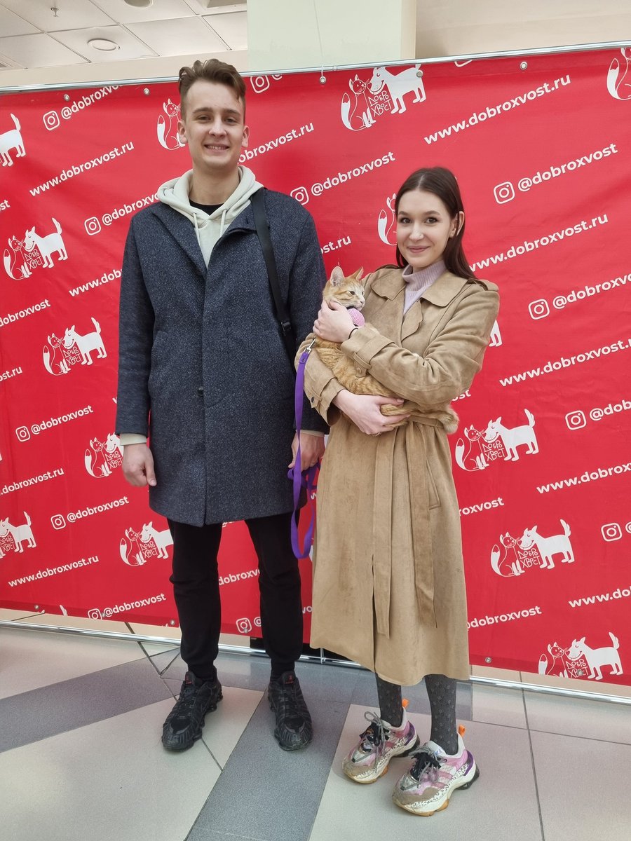 prosto_lycu's tweet image. 18. Тимон. Тимон истошно орал в нашем подъезде. Я вышла покормить орущее животное, а он запрыгнул мне в руки. Ну и всё. Забрали, кастрировали, привили. Я случайно нашла проект Доброхвост - выставка для бездомных животных. Там я его и отдала в хорошие руки. Тимона очень любят