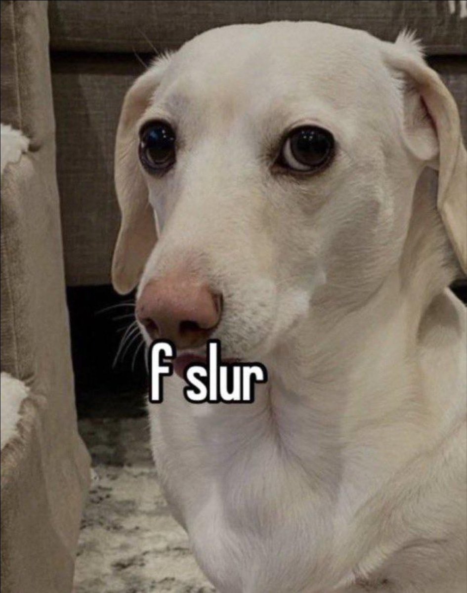 sam 🧸⭐️ tweet media