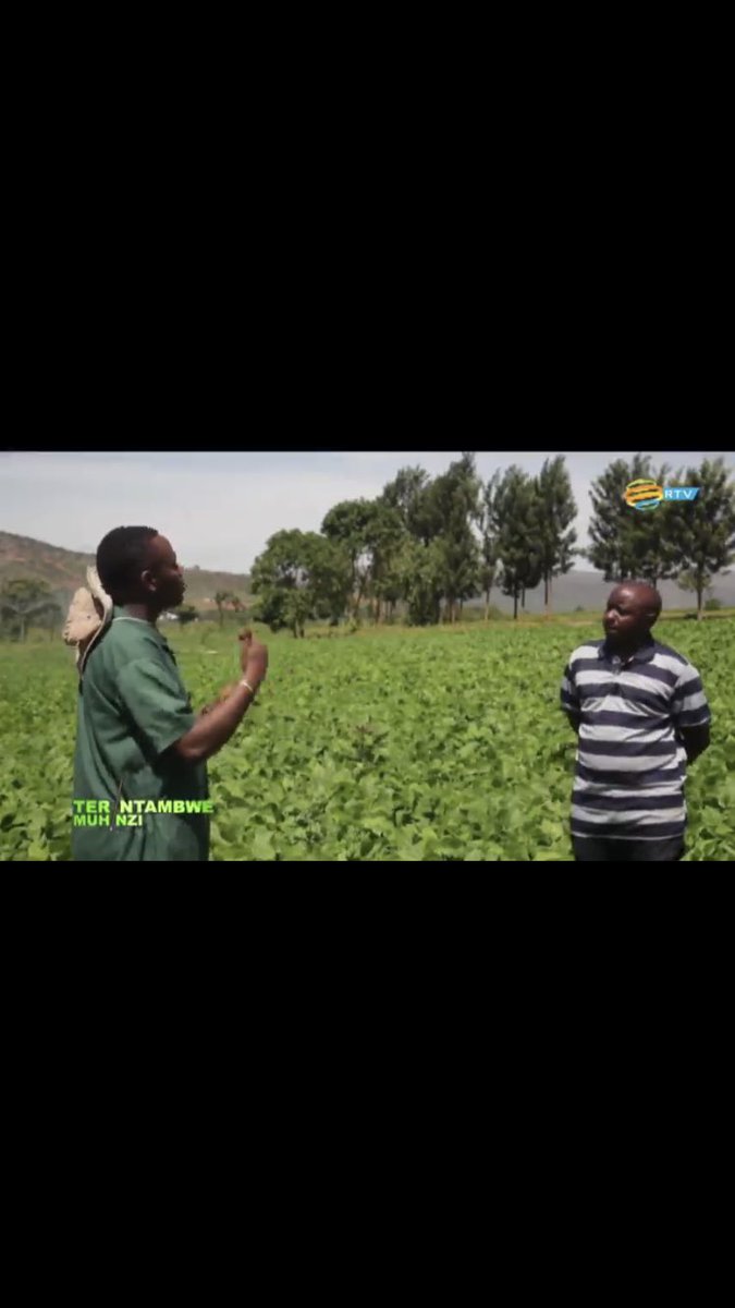 East Umuhinzi Company tweet media
