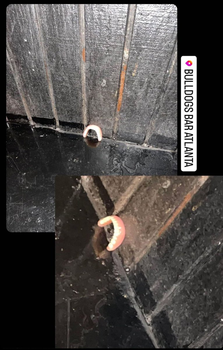 Sony12Play's tweet photo. Someone's dentures fell out their mouth on the dance floor. You can't make this sh*t up! 🤣😂
#BulldogsBarAtlanta #BulldogsAtlanta #Poligrip https://t.co/I22v5i6a6N